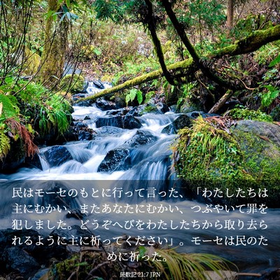 Picture 03 - 民数記 21:7 JPN - 民はモーセのもとに行って言った、 - Bible Verse Picture