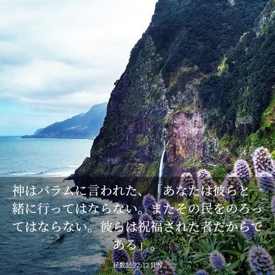 Picture 03 - 民数記 22:12 JPN - 神はバラムに言われた、「あなたは - Bible Verse Picture