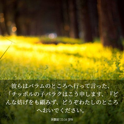 Picture 03 - 民数記 22:16 JPN - 彼らはバラムのところへ行って言っ - Bible Verse Picture