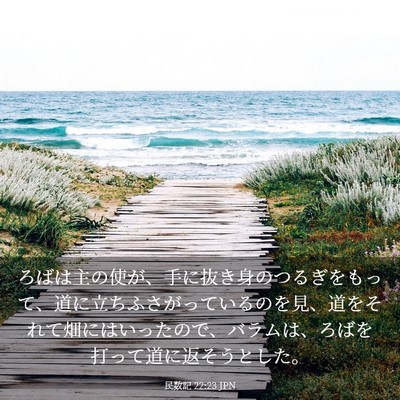 Picture 03 - 民数記 22:23 JPN - ろばは主の使が、手に抜き身のつる - Bible Verse Picture