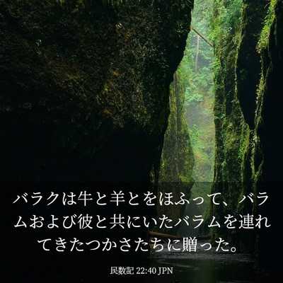 Picture 03 - 民数記 22:40 JPN - バラクは牛と羊とをほふって、バラ - Bible Verse Picture