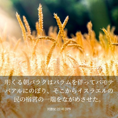 Picture 03 - 民数記 22:41 JPN - 明くる朝バラクはバラムを伴ってバ - Bible Verse Picture