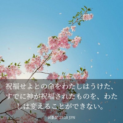 Picture 03 - 民数記 23:20 JPN - 祝福せよとの命をわたしはうけた、 - Bible Verse Picture