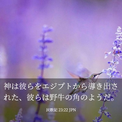 Picture 03 - 民数記 23:22 JPN - 神は彼らをエジプトから導き出され - Bible Verse Picture