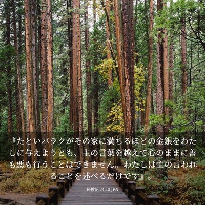 Picture 03 - 民数記 24:13 JPN - 『たといバラクがその家に満ちるほ - Bible Verse Picture