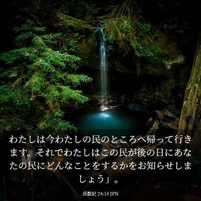 Picture 03 - 民数記 24:14 JPN - わたしは今わたしの民のところへ帰 - Bible Verse Picture