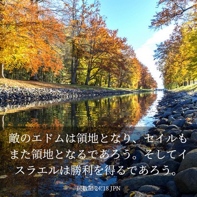 Picture 03 - 民数記 24:18 JPN - 敵のエドムは領地となり、セイルも - Bible Verse Picture