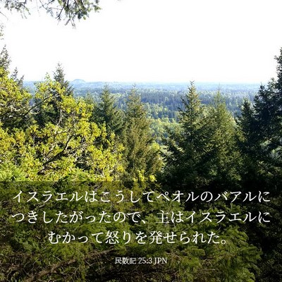 Picture 03 - 民数記 25:3 JPN - イスラエルはこうしてペオルのバア - Bible Verse Picture