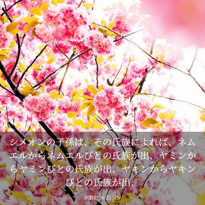 Picture 03 - 民数記 26:12 JPN - シメオンの子孫は、その氏族によれ - Bible Verse Picture