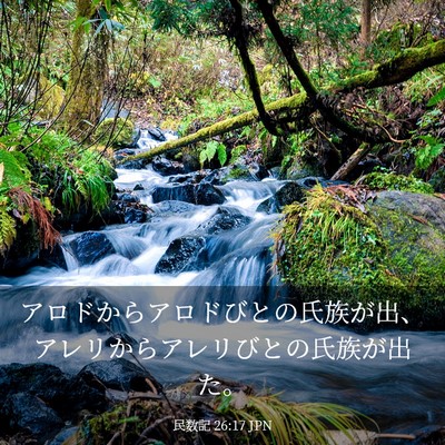 Picture 03 - 民数記 26:17 JPN - アロドからアロドびとの氏族が出、 - Bible Verse Picture