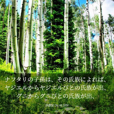 Picture 03 - 民数記 26:48 JPN - ナフタリの子孫は、その氏族によれ - Bible Verse Picture