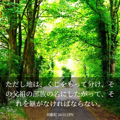 Picture 03 - 民数記 26:55 JPN - ただし地は、くじをもって分け、そ - Bible Verse Picture