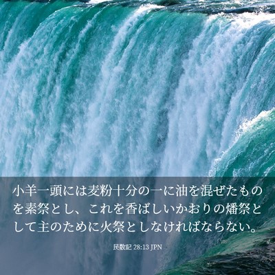 Picture 03 - 民数記 28:13 JPN - 小羊一頭には麦粉十分の一に油を混 - Bible Verse Picture