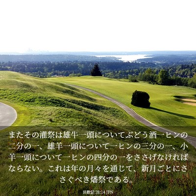 Picture 03 - 民数記 28:14 JPN - またその灌祭は雄牛一頭についてぶ - Bible Verse Picture