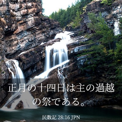 Picture 03 - 民数記 28:16 JPN - 正月の十四日は主の過越の祭である - Bible Verse Picture