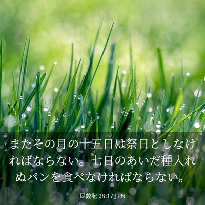 Picture 03 - 民数記 28:17 JPN - またその月の十五日は祭日としなけ - Bible Verse Picture