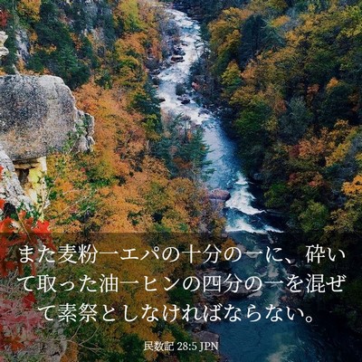 Picture 03 - 民数記 28:5 JPN - また麦粉一エパの十分の一に、砕い - Bible Verse Picture