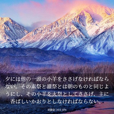 Picture 03 - 民数記 28:8 JPN - 夕には他の一頭の小羊をささげなけ - Bible Verse Picture