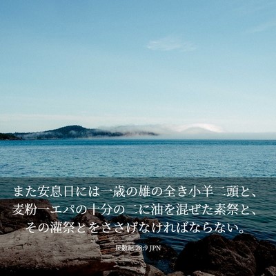 Picture 03 - 民数記 28:9 JPN - また安息日には一歳の雄の全き小羊 - Bible Verse Picture