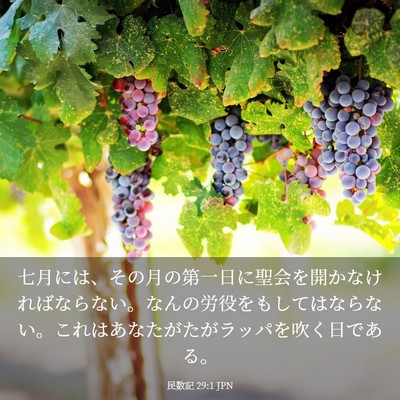Picture 03 - 民数記 29:1 JPN - 七月には、その月の第一日に聖会を - Bible Verse Picture