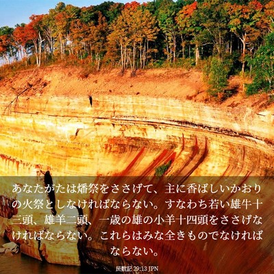 Picture 03 - 民数記 29:13 JPN - あなたがたは燔祭をささげて、主に - Bible Verse Picture