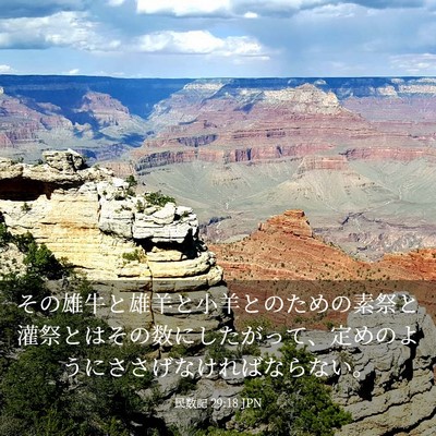 Picture 03 - 民数記 29:18 JPN - その雄牛と雄羊と小羊とのための素 - Bible Verse Picture