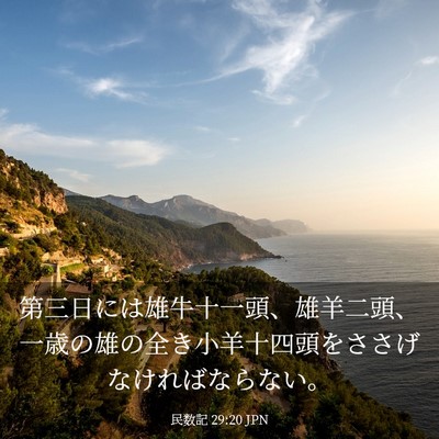 Picture 03 - 民数記 29:20 JPN - 第三日には雄牛十一頭、雄羊二頭、 - Bible Verse Picture