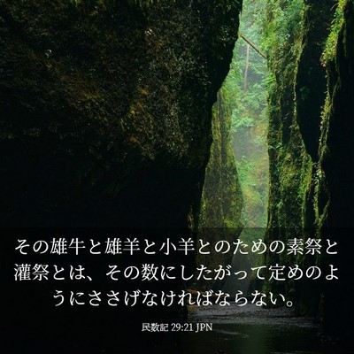 Picture 03 - 民数記 29:21 JPN - その雄牛と雄羊と小羊とのための素 - Bible Verse Picture