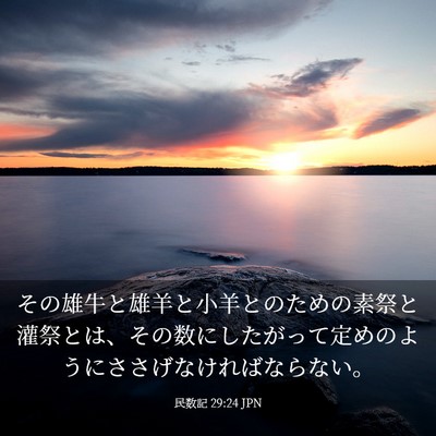 Picture 03 - 民数記 29:24 JPN - その雄牛と雄羊と小羊とのための素 - Bible Verse Picture