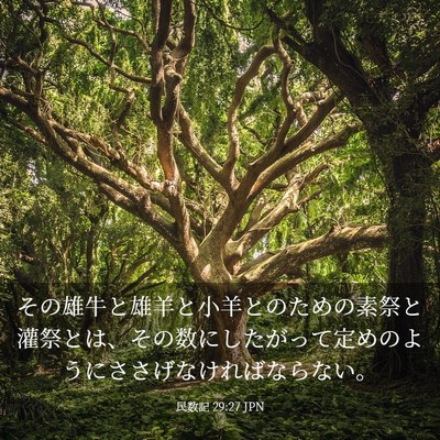 Picture 03 - 民数記 29:27 JPN - その雄牛と雄羊と小羊とのための素 - Bible Verse Picture