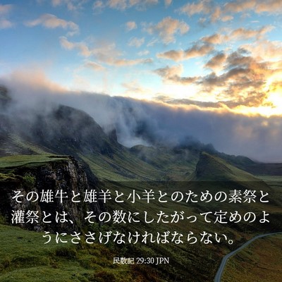 Picture 03 - 民数記 29:30 JPN - その雄牛と雄羊と小羊とのための素 - Bible Verse Picture