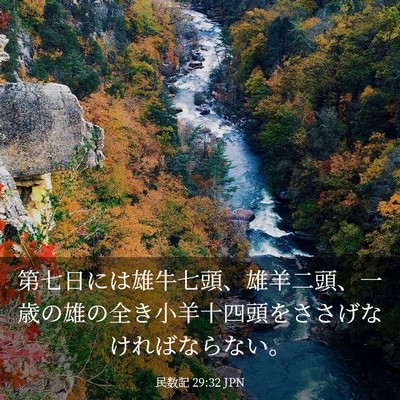 Picture 03 - 民数記 29:32 JPN - 第七日には雄牛七頭、雄羊二頭、一 - Bible Verse Picture