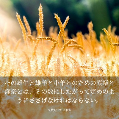 Picture 03 - 民数記 29:33 JPN - その雄牛と雄羊と小羊とのための素 - Bible Verse Picture