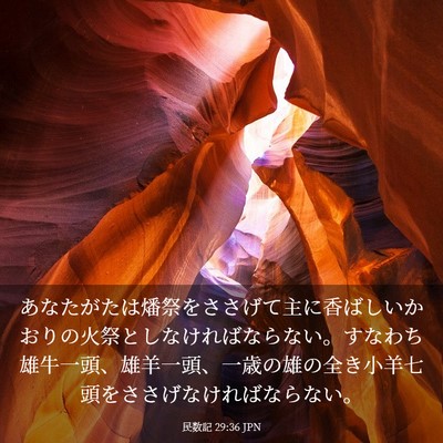 Picture 03 - 民数記 29:36 JPN - あなたがたは燔祭をささげて主に香 - Bible Verse Picture