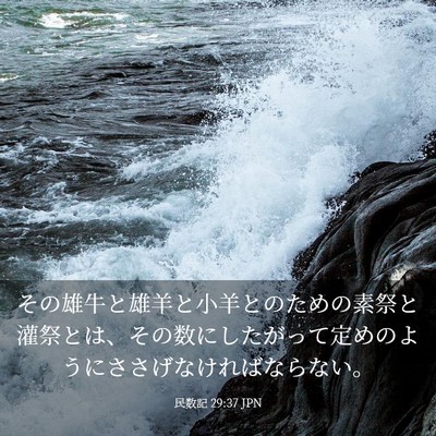 Picture 03 - 民数記 29:37 JPN - その雄牛と雄羊と小羊とのための素 - Bible Verse Picture