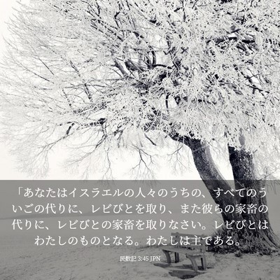 Picture 03 - 民数記 3:45 JPN - 「あなたはイスラエルの人々のうち - Bible Verse Picture