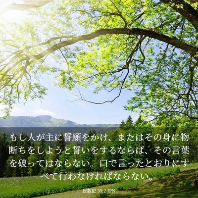 Picture 03 - 民数記 30:2 JPN - もし人が主に誓願をかけ、またはそ - Bible Verse Picture