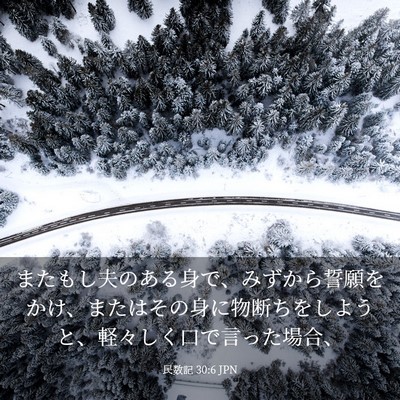 Picture 03 - 民数記 30:6 JPN - またもし夫のある身で、みずから誓 - Bible Verse Picture