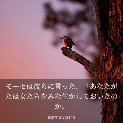 Picture 03 - 民数記 31:15 JPN - モーセは彼らに言った、「あなたが - Bible Verse Picture