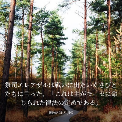 Picture 03 - 民数記 31:21 JPN - 祭司エレアザルは戦いに出たいくさ - Bible Verse Picture