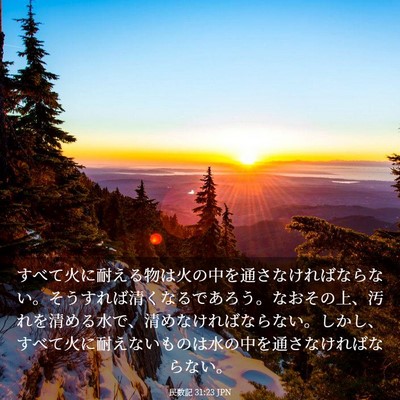 Picture 03 - 民数記 31:23 JPN - すべて火に耐える物は火の中を通さ - Bible Verse Picture