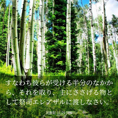 Picture 03 - 民数記 31:29 JPN - すなわち彼らが受ける半分のなかか - Bible Verse Picture