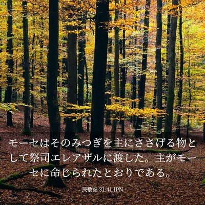 Picture 03 - 民数記 31:41 JPN - モーセはそのみつぎを主にささげる - Bible Verse Picture