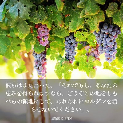 Picture 03 - 民数記 32:5 JPN - 彼らはまた言った、「それでもし、 - Bible Verse Picture