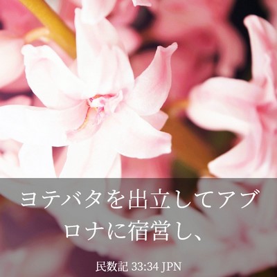 Picture 03 - 民数記 33:34 JPN - ヨテバタを出立してアブロナに宿営 - Bible Verse Picture
