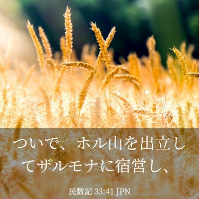 Picture 03 - 民数記 33:41 JPN - ついで、ホル山を出立してザルモナ - Bible Verse Picture