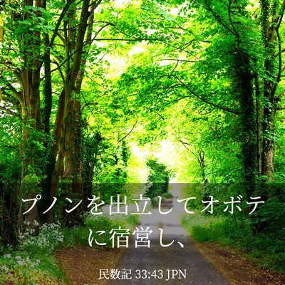 Picture 03 - 民数記 33:43 JPN - プノンを出立してオボテに宿営し、 - Bible Verse Picture