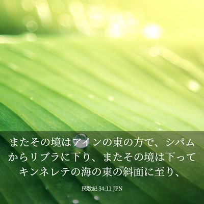 Picture 03 - 民数記 34:11 JPN - またその境はアインの東の方で、シ - Bible Verse Picture