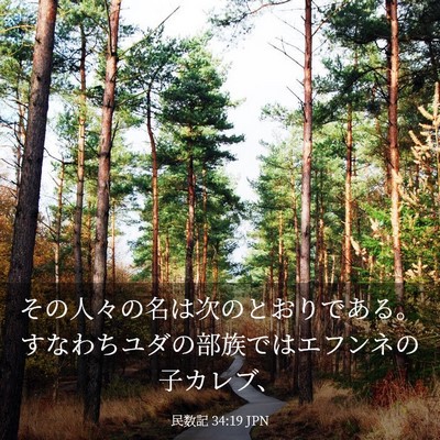 Picture 03 - 民数記 34:19 JPN - その人々の名は次のとおりである。 - Bible Verse Picture
