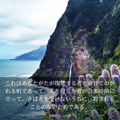 Picture 03 - 民数記 35:12 JPN - これはあなたがたが復讐する者を避 - Bible Verse Picture